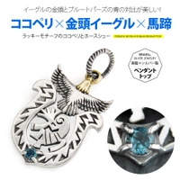 2PIECES （ツーピーシーズ）のアクセサリー/アクセサリーパーツ