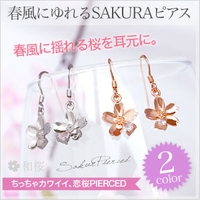 2PIECES （ツーピーシーズ）のアクセサリー/ピアス