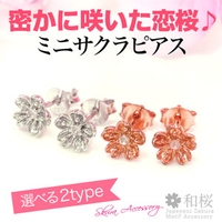 2PIECES （ツーピーシーズ）のアクセサリー/ピアス