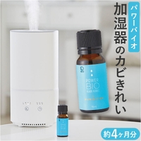 BACKYARD FAMILY(バックヤードファミリー)の寝具・インテリア雑貨/インテリア小物・置物