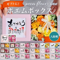 BACKYARD FAMILY（バックヤードファミリー）の寝具・インテリア雑貨/インテリア小物・置物