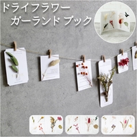 BACKYARD FAMILY（バックヤードファミリー）のファッション雑貨/パーティーグッズ