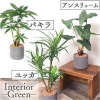 BACKYARD FAMILY（バックヤードファミリー）の寝具・インテリア雑貨/インテリア小物・置物