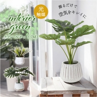 BACKYARD FAMILY（バックヤードファミリー）の寝具・インテリア雑貨/インテリア小物・置物