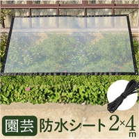 BACKYARD FAMILY（バックヤードファミリー）の寝具・インテリア雑貨/インテリア小物・置物