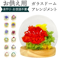 BACKYARD FAMILY（バックヤードファミリー）の寝具・インテリア雑貨/インテリア小物・置物