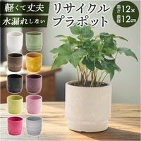 BACKYARD FAMILY（バックヤードファミリー）の寝具・インテリア雑貨/インテリア小物・置物