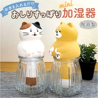 BACKYARD FAMILY | BCYW0040029