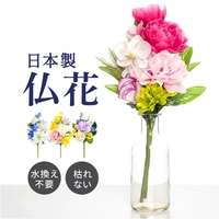 BACKYARD FAMILY | BCYW0040220