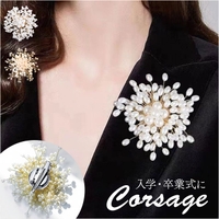 BACKYARD FAMILY | BCYW0042659