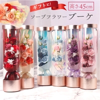 BACKYARD FAMILY | BCYW0042711