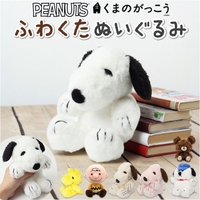 BACKYARD FAMILY（バックヤードファミリー）のファッション雑貨/おもちゃ・フィギュア