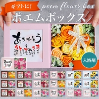 BACKYARD FAMILY（バックヤードファミリー）の寝具・インテリア雑貨/インテリア小物・置物
