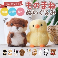 BACKYARD FAMILY（バックヤードファミリー）のファッション雑貨/おもちゃ・フィギュア