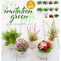 BACKYARD FAMILY（バックヤードファミリー）の寝具・インテリア雑貨/インテリア小物・置物