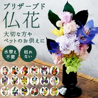 BACKYARD FAMILY（バックヤードファミリー）の寝具・インテリア雑貨/インテリア小物・置物