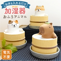 BACKYARD FAMILY（バックヤードファミリー）の寝具・インテリア/インテリア小物