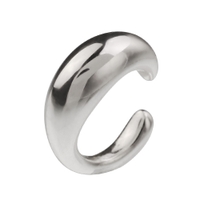 シルバーアクセサリーBinich （シルバーアクセサリービニッチ）のアクセサリー/ピアス