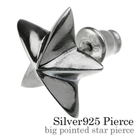 シルバーアクセサリーBinich （シルバーアクセサリービニッチ）のアクセサリー/ピアス