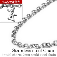 シルバーアクセサリーBinich （シルバーアクセサリービニッチ）のアクセサリー/ネックレス