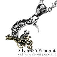 シルバーアクセサリーBinich （シルバーアクセサリービニッチ）のアクセサリー/ネックレス