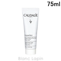 BLANC LAPIN（ブランラパン）のスキンケア/洗顔料