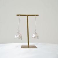 BUYSENSE | BYST0002645