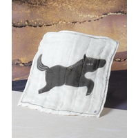 アミナコレクション  | ACNW0030322