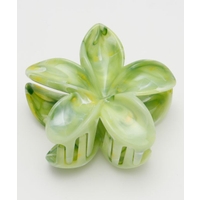 アミナコレクション  | ACNW0029727