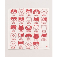 アミナコレクション  | ACNW0030141