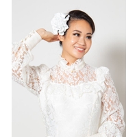 アミナコレクション （アミナコレクション ）のヘアアクセサリー/ヘアクリップ・バレッタ