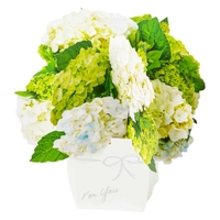 cinemacollection(シネマコレクション)の文房具/ノート・便箋・付箋