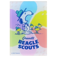 cinemacollection | BREW0199367