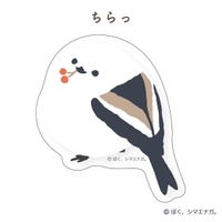 cinemacollection（シネマコレクション）の文房具/シール・ステッカー・テープ