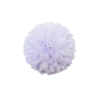 COCOMOMO | COCW0005359