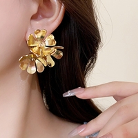 レースレディース （レースレディース）のアクセサリー/ピアス