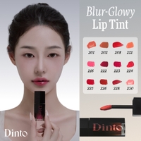 dinto | TMKR0000010