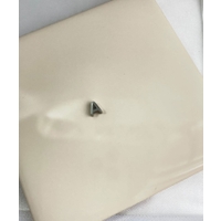 earyear（イヤーイヤー）のアクセサリー/アクセサリーパーツ