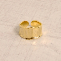 FACION | FACA0000886