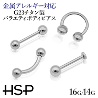 ピアス専門店HOMESLICEPRODUCTIONS（ピアスセンモンテン ホームスライスプロダクションズ）のアクセサリー/ボディピアス