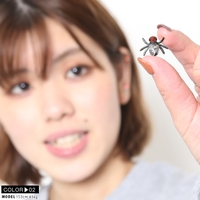 本格派大人のB系 | HKHM0005752