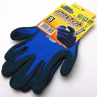 livingut | KRFH0031804