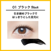 MAYBELLINE NEW YORK  OFFICIAL SHOP | LORE0009755