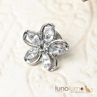 lunolumo（ルーノルーモ）のアクセサリー/ブローチ・コサージュ