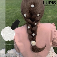 LUPIS | LPSA0004801