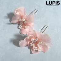 LUPIS | LPSA0005431