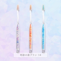 奇跡の歯ブラシ | NISH0000004