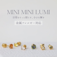 Noelmarket（ノエルマーケット）のアクセサリー/ピアス
