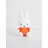 LUDIC PARK | PLMW0013807