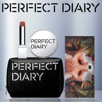 PERFECT DIARY（パーフェクトダイアリー）のメイクアップ/コスメキット・ギフトセット